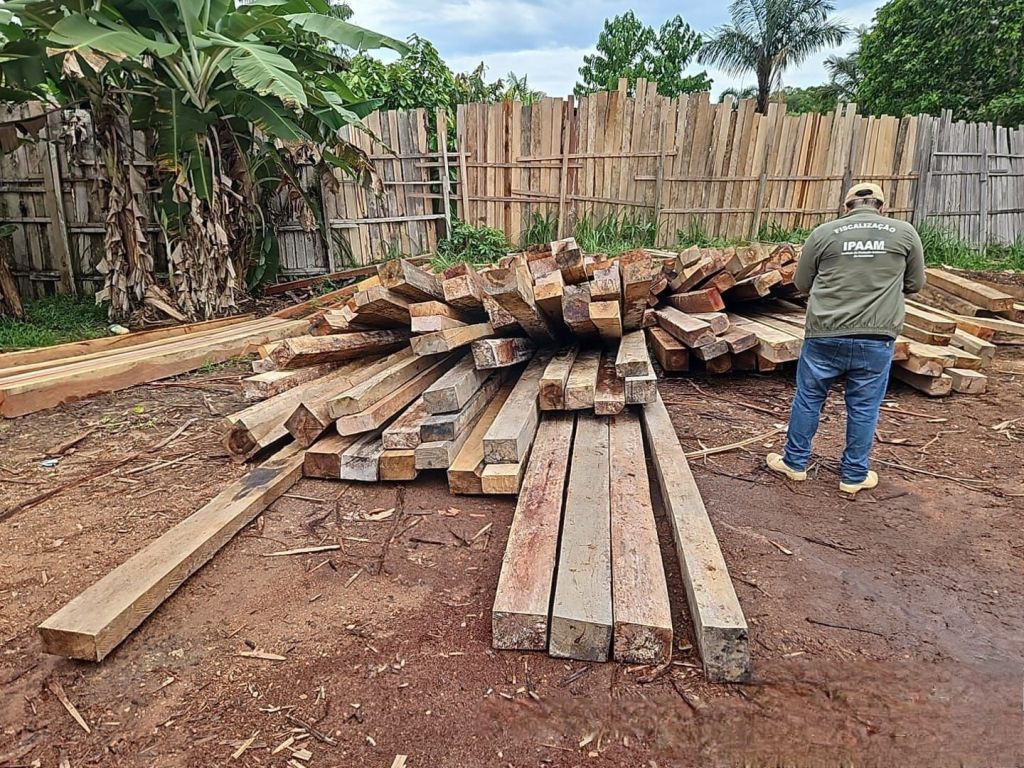 Ipaam e Polícia Ambiental aplicam R$ 7,3 milhões em multas por crimes ambientais no&nbsp;AM